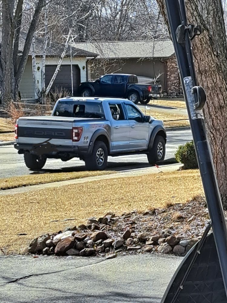 Silver Ford pickup truck parked on the street at the end of a suburban driveway. All the windows in the back seat are open and a black and white husky is popping their head out of one and looking directly at the camera. 