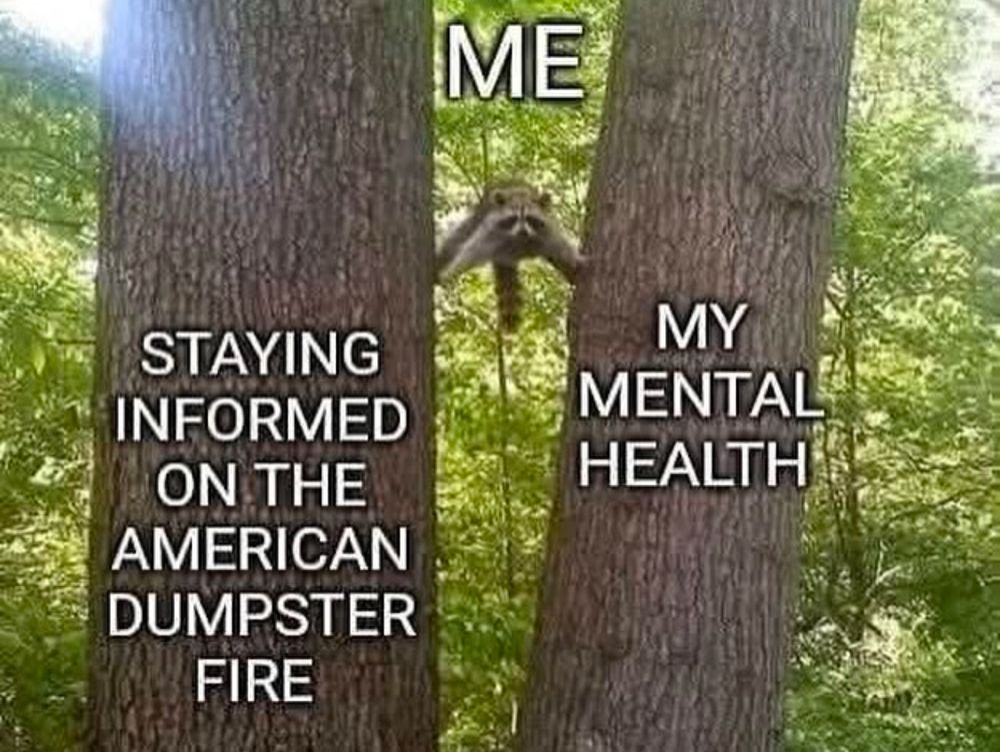 A raccoon with the word “me” above it balancing between two trees. One is labeled “staying informed on the American dumpster fire” the other is “my mental health” 