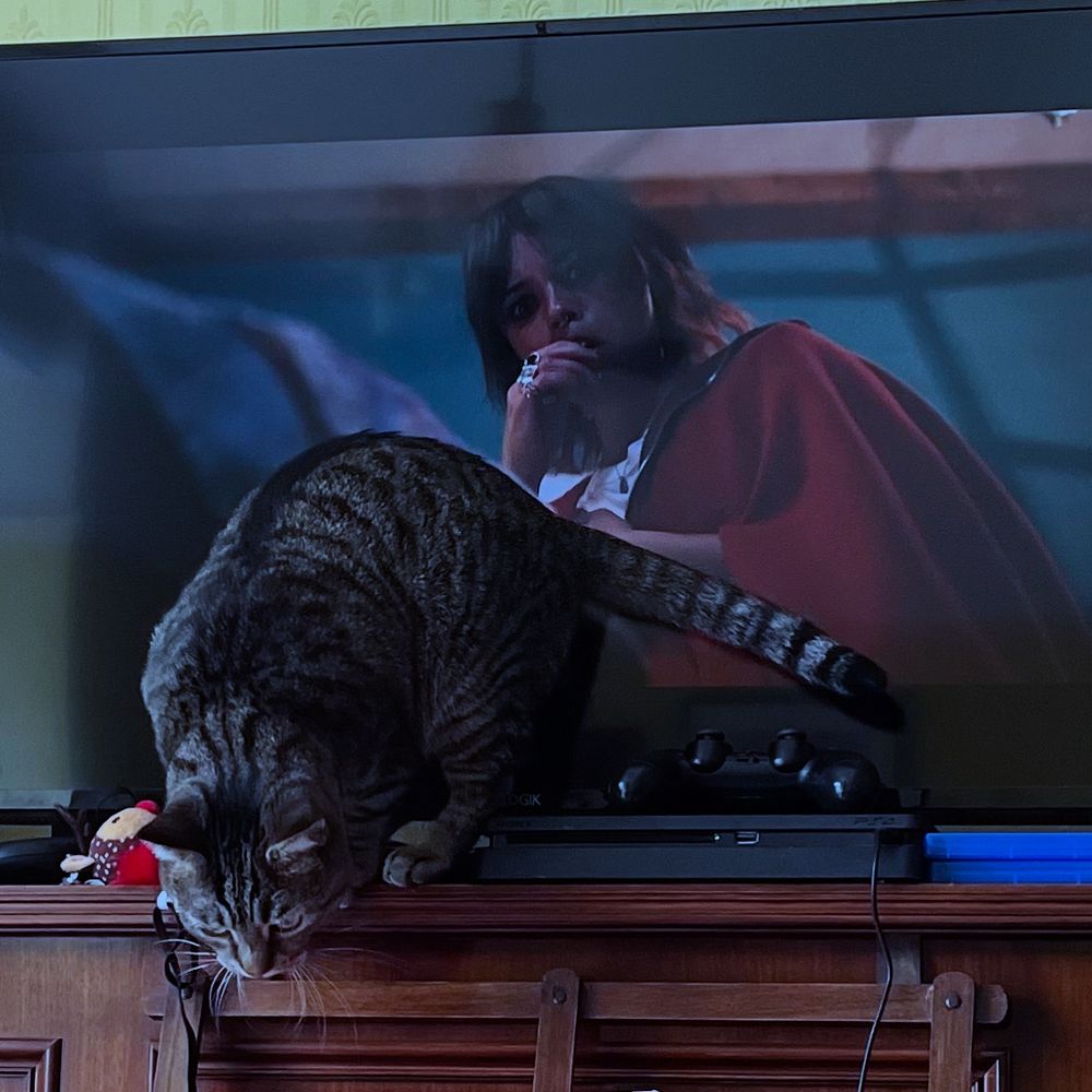 Colour photo of a large TV on top of a dark wooden piano. On the screen a still from the film Death of the Unicorn featuring the a mid-shot of the actor Jenna Ortega, a thing white dark-haired woman wearing a red hoodie. She is staring with one hand up to her mouth in a worried expression. A small tabby cat is in front of the TV on the edge of the piano about to jump off.