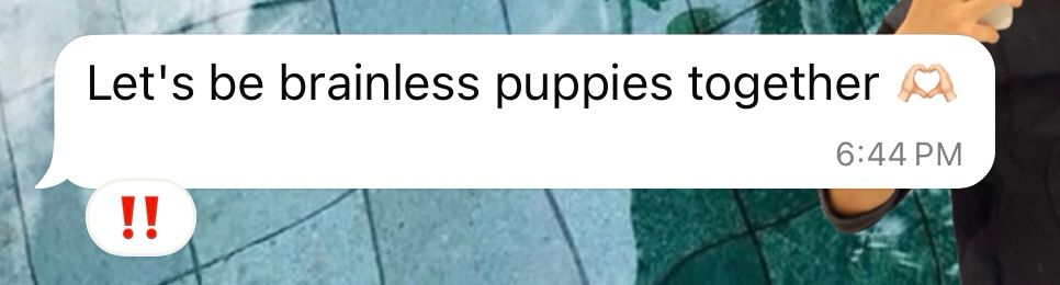 screenshot of a text i got that says “let’s be brainless puppies together 🫶🏻”. there’s a pop up under the text that i reacted to it with the ‼️ emoji