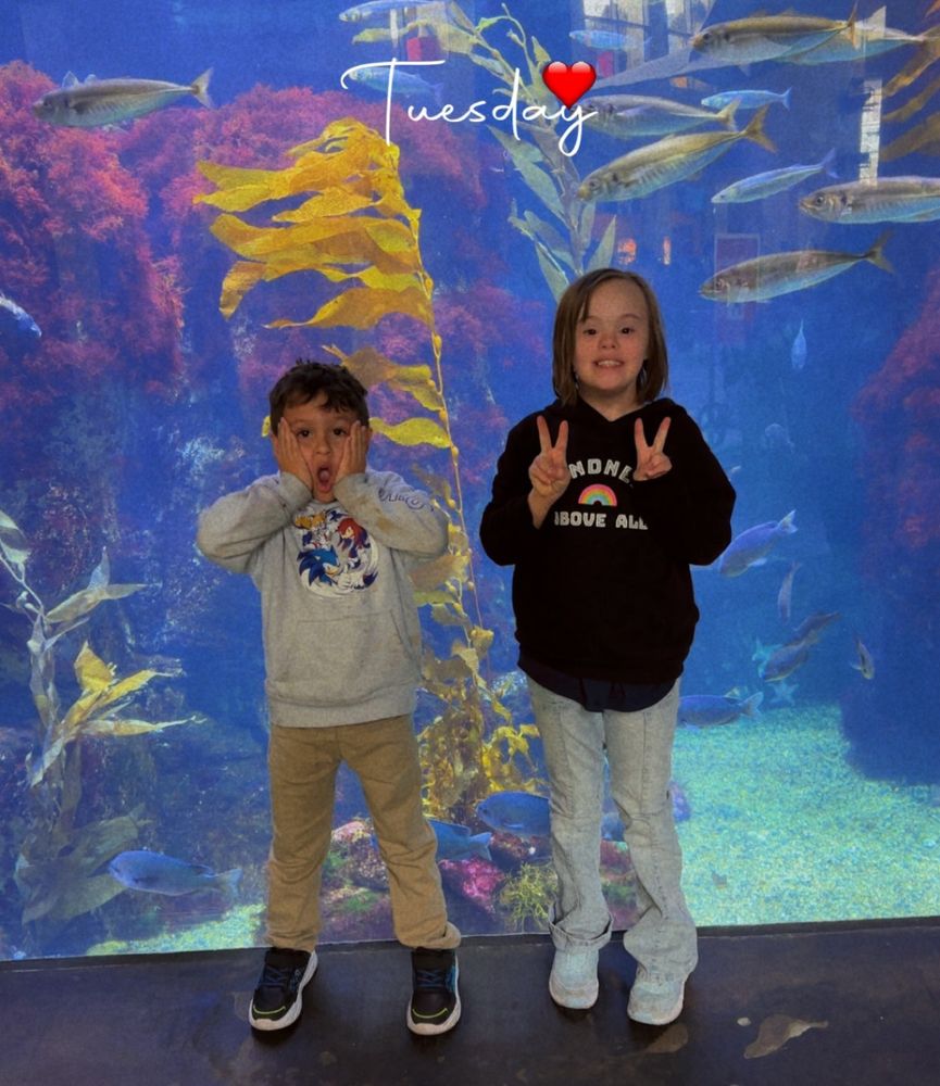 My kids standing in front of an aquarium display with fish