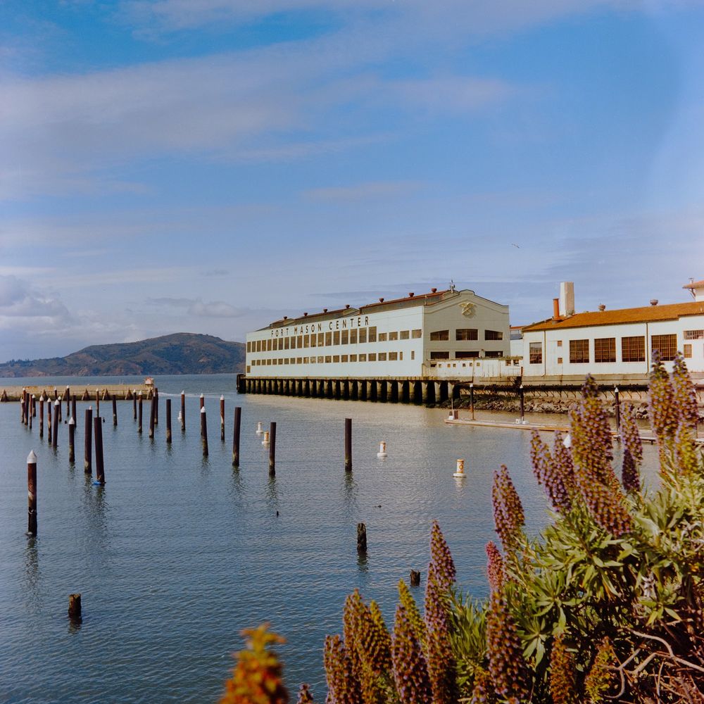 Fort Mason center is in the middle of the image with some flowers in the foreground. 