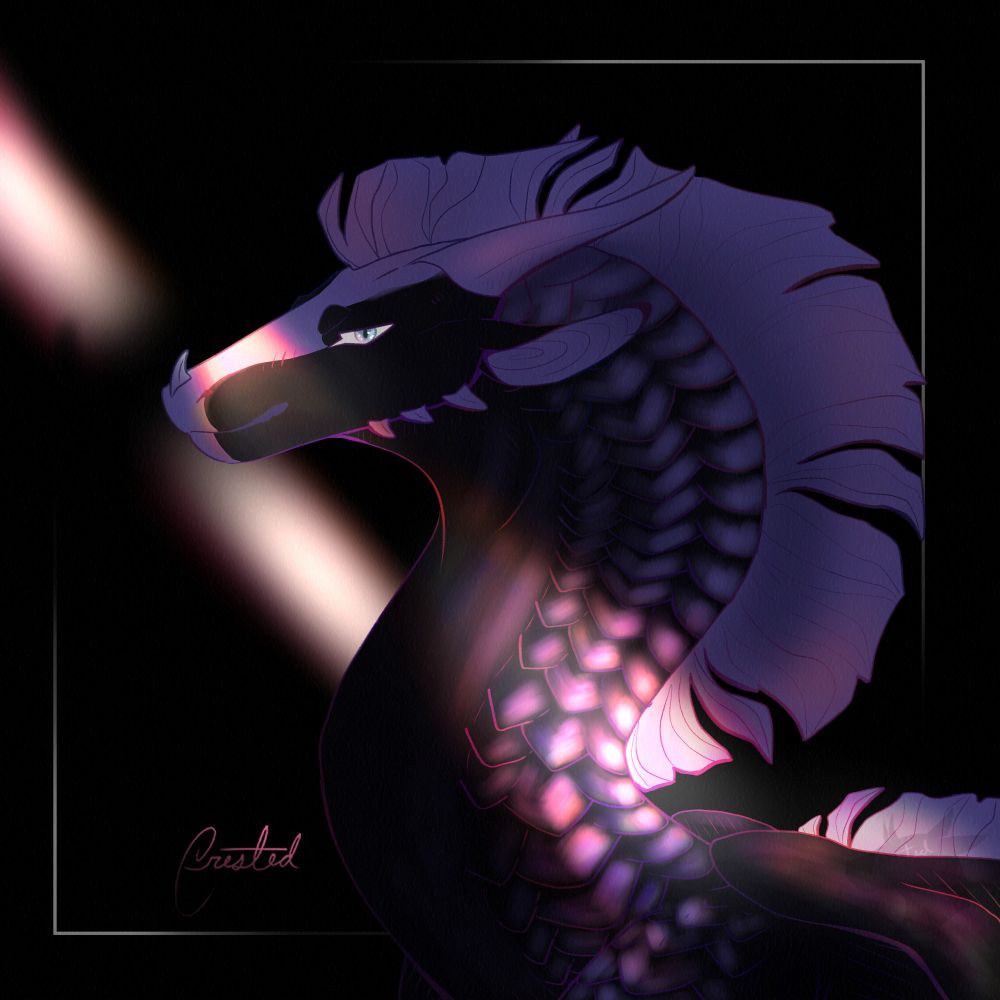Headshot digital drawing of my dragon character, Taiyo. They are a nightwing and sandwing hybrid from the wing of fire fandom. They have black and white scales but when the light hit just right they shine a nice pink and orange hue, like in this piece with the dramatic lightning.
