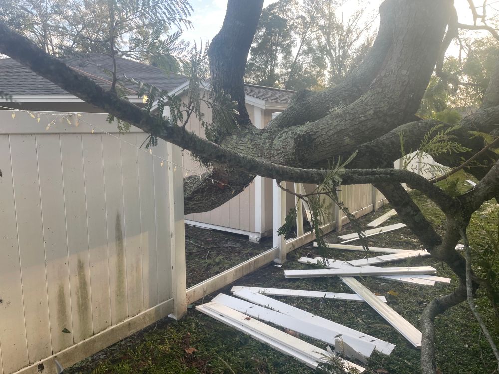 Tree crashes through vinyl fence