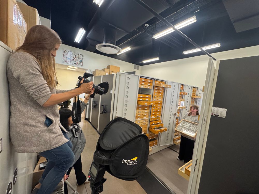 Woman standing on a stool in an entomology archival space. She is pointing a camera towards a young lady who is holding container with pinned insects and who stands between open metal cabinets of insect drawers.