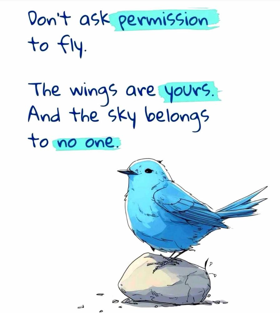 Blue bird standing on top of a rock.

Caption:
Don't ask permission to fly.
The wings are yours.
And the sky belongs to no one.