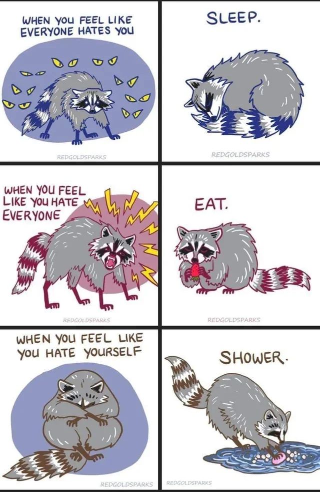 A six panel poster featuring a raccoon in each panels, organized in couplets, the initial panel featuring a mood and the following the response to that mood.

Panel one features a scared and paranoid looking raccoon, surrounded by eyes, reading "When you feel like everyone hates you" with the second panel as it's answer, captioned "Sleep" showing the raccoon doing so.

The third panel shows the raccoon angry and growling, captioned "When you feel like you hate everyone" and the fourth panel captioned "Eat" showing the raccoon eating a berry.

The fifth panel shows the raccoon sitting, hiding it's face in it's arms, captioned "When you feel like you hate yourself" and the sixth captioned "Shower" with the raccoon bathing itself in a small pool of water.