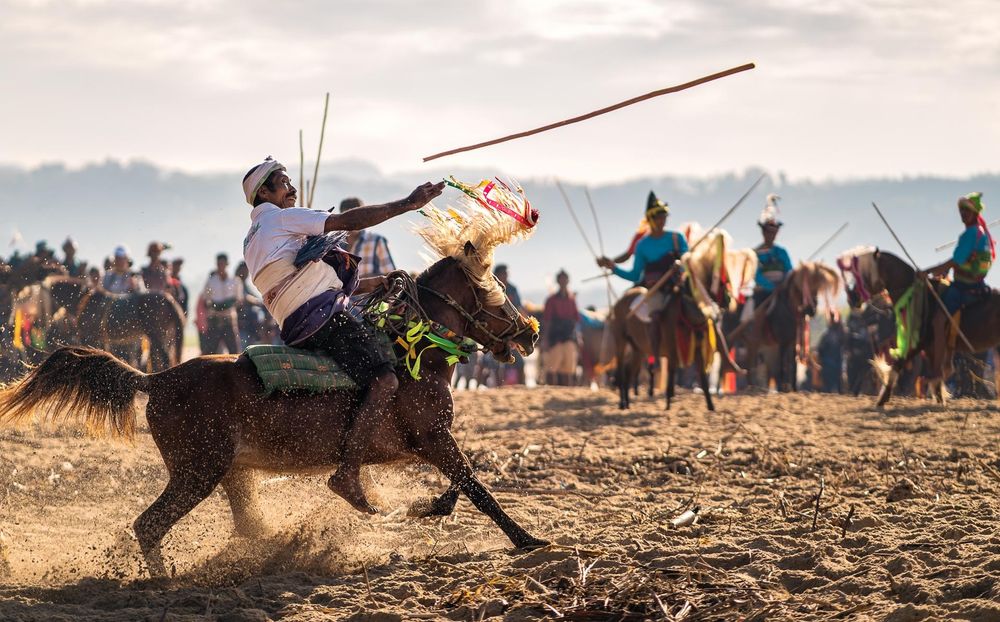 A photograph of a Pasola event. A rider in white shirt and riding bareback on a brown horse is seen throwing a blunt spear. Another team of riders is seen in the background wearing blue shirts.