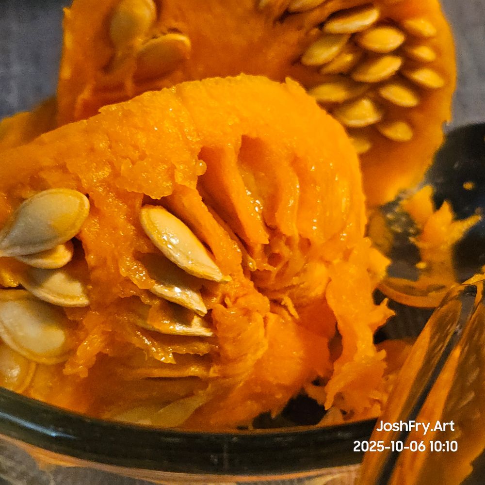 The scooped put seeds up close.