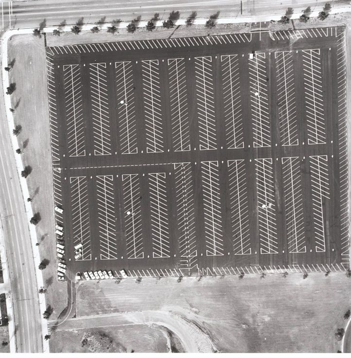 edward ruscha's black-and-white photograph of a parking lot from aerial view. the marked areas for cars are angled in alternating directions, so the rows resemble a fossil of a giant fish skeleton. 