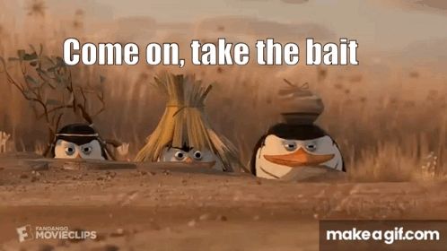 three penguins peeking out of a hole with the words " come on take the bait "