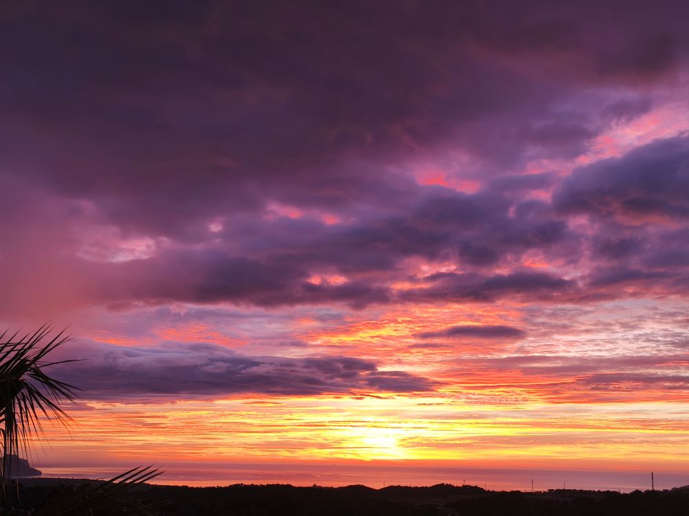 The sun rises in an extravagant mixture of hues from deepest violet to bright citrusy stripes across the Mediterranean horizon. Land is silhouetted in the foreground with palm fronds tickling the left of the frame. Taken at first light on the Costa Blanca, Spain.
