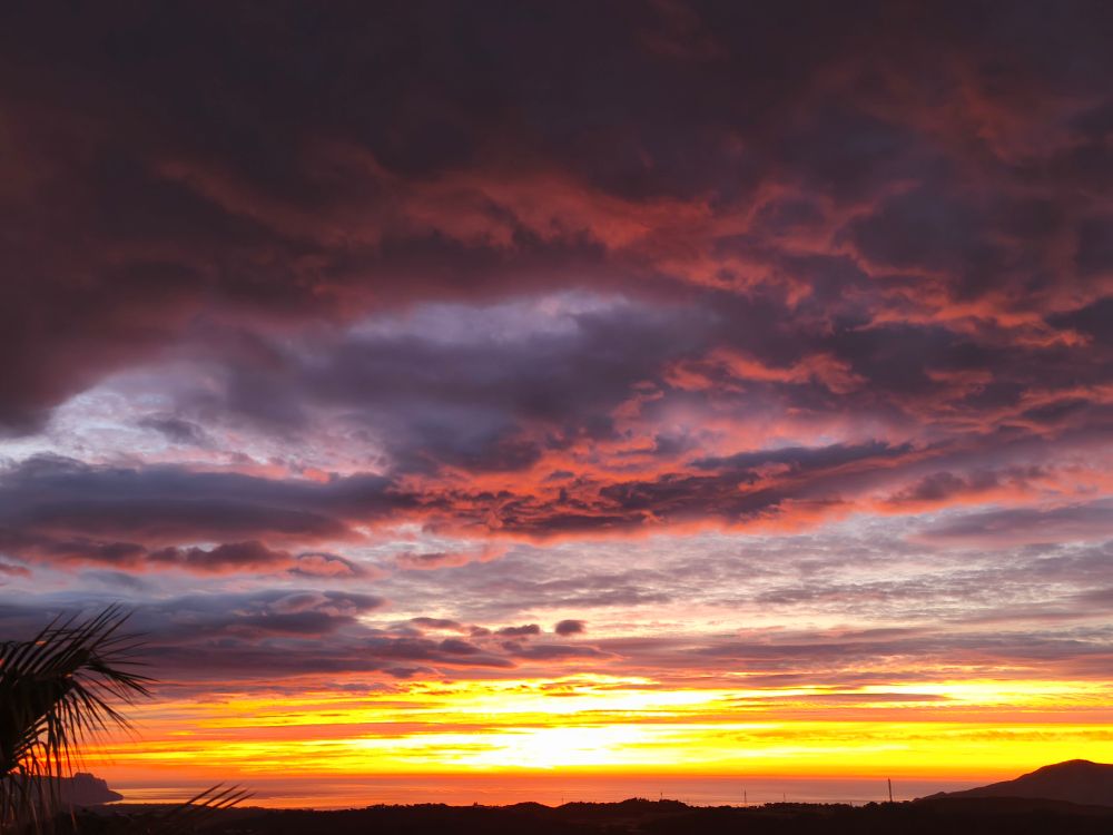 The sun rises in an extravagant mixture of hues from deepest violet to bright citrusy stripes across the Mediterranean horizon. Land is silhouetted in the foreground with palm fronds tickling the left of the frame. Taken at first light on the Costa Blanca, Spain.