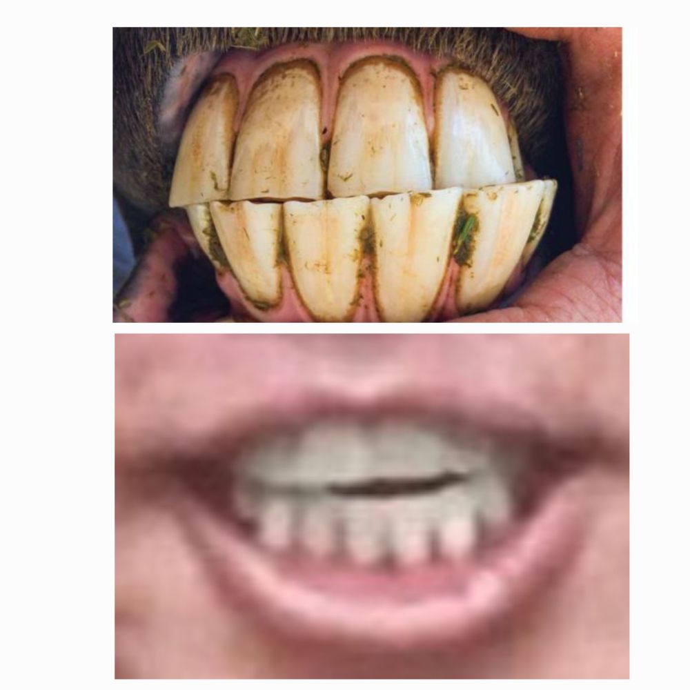 Comment image