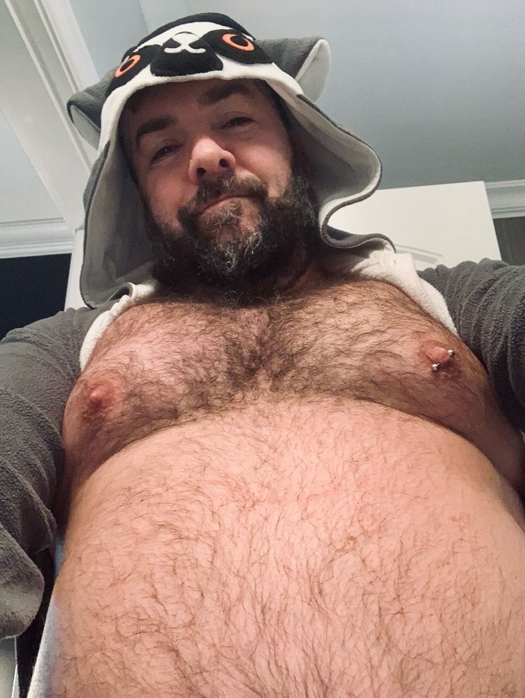 Furry bearded chubby bear with a lemur onesie hood over the head. Hairy chest and belly exposed.