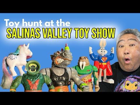 Toy Hunt at the SALINAS VALLEY TOY SHOW | August 2025
