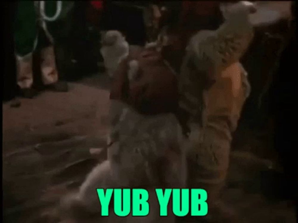 Starwars Ewok GIF