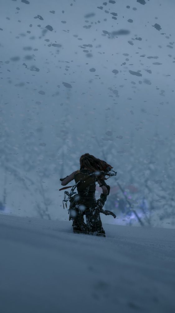 Virtual Photography from Horizon Zero Dawn Remastered.