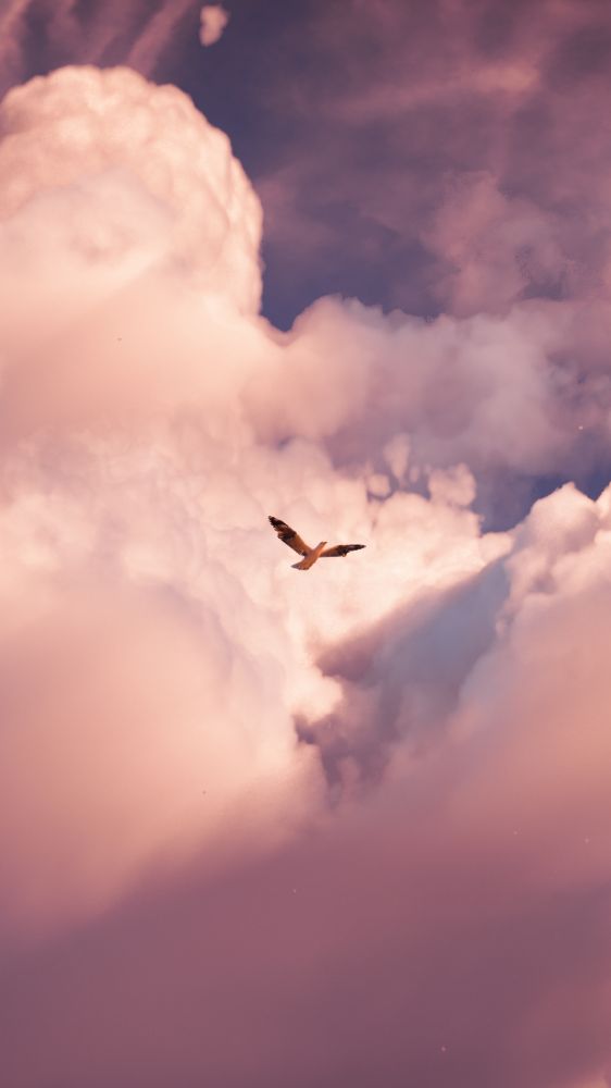 Virtual Photographies from Horizon Forbidden West.