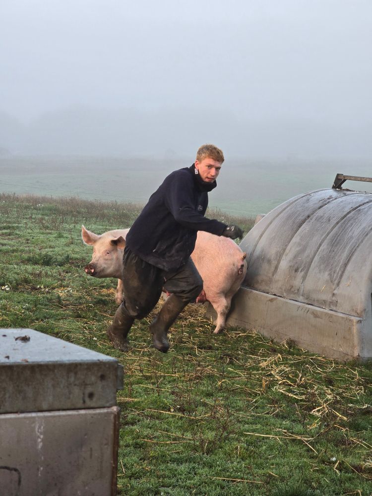 Jamie running away from a pig