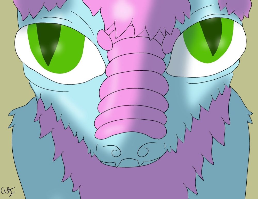 Drekki looking at you