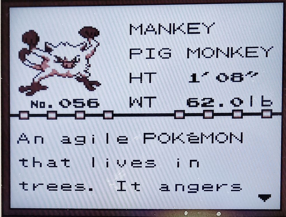 Das bild zeigt ein Pokemon "Mankey", (in game Screenshot). 