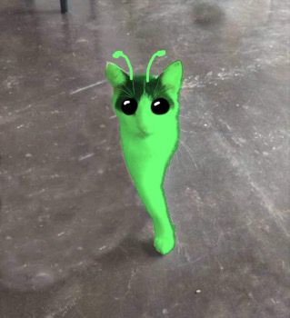 picture shows a one-legged green alien cat with antennae standing on a concrete floor