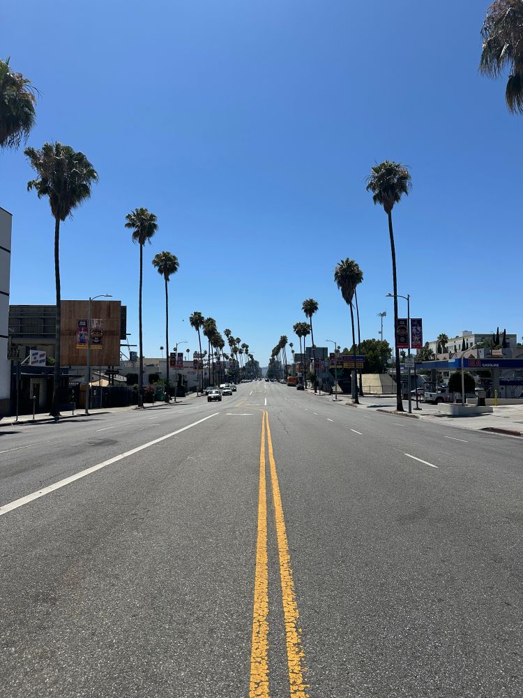 Alexandria at Sunset Blvd 