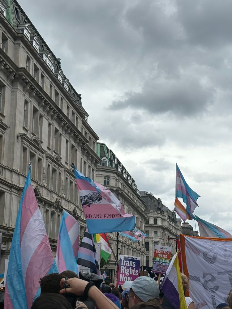 Trans flags fluttering in central London. 
