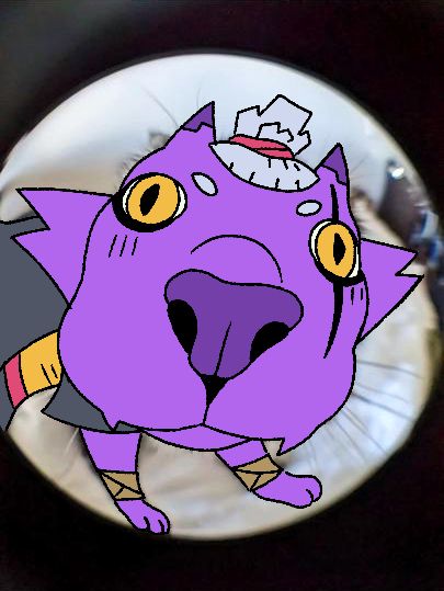A redraw of a fish-eye lens photo of a cat, but with Rox. Made by shurikenfox