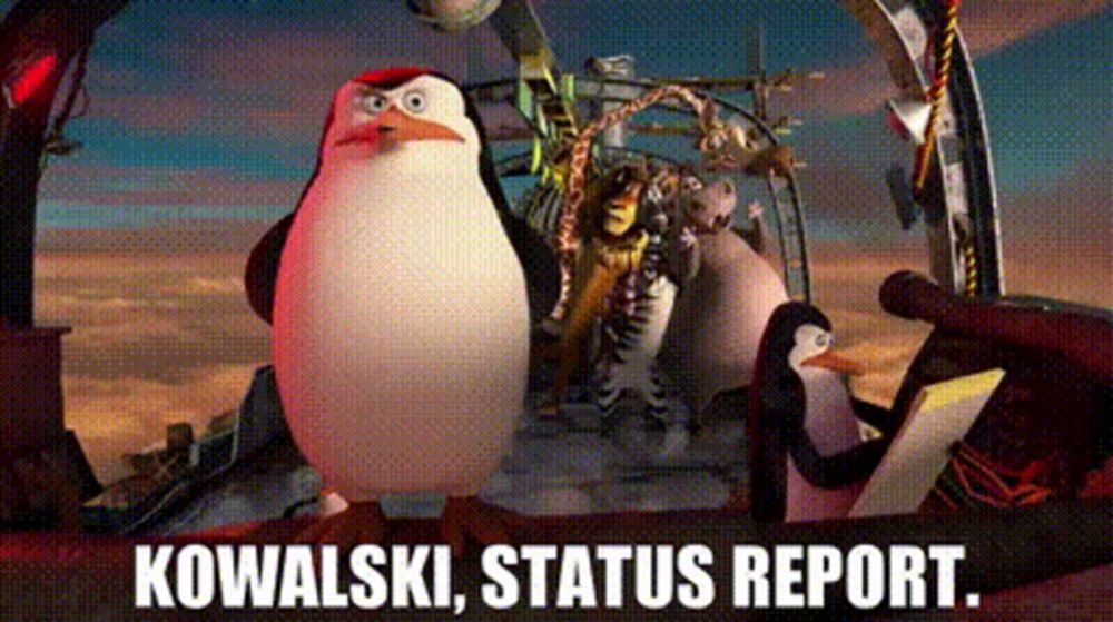 Status Report Status Update GIF