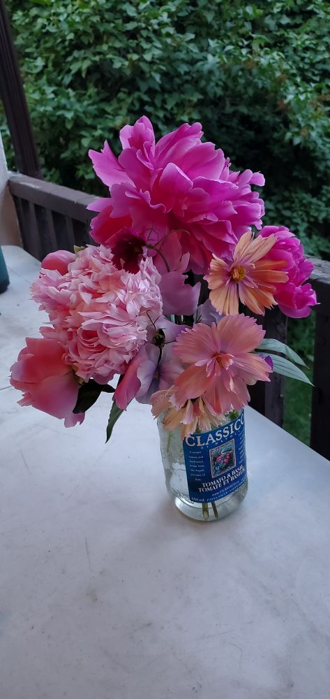 A bunch of pink peonies; cosmos in shades of pink, lilac, and peach; and a few pale blue pansies arranged in an old glass pasta sauce jar on a white table.
