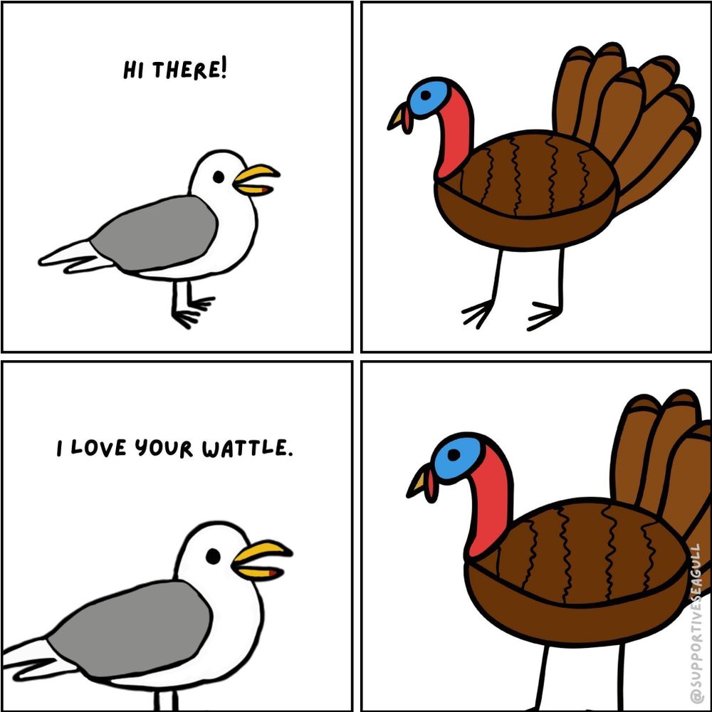 A four panel comic of a seagull and a turkey meeting with the seagull complimenting the turkey's wattle