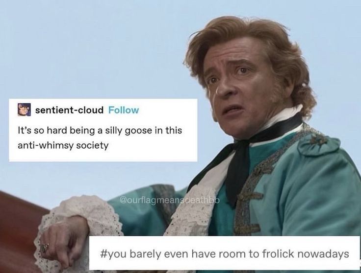 Stede Bonnet leaning on the railing on the deck of the Revenge. Post by sentient-cloud from tumblr probably acting as as speech bubble, "It's so hard being a silly goose in this anti-whimsy society" #you barely even have room to frolick nowadays 