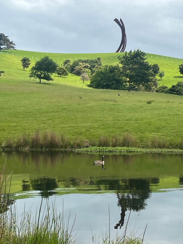 Bernar Venet work on the ridge, unimpressed Canadian goose on the pond, the massive bending steel structure reflected in the pond