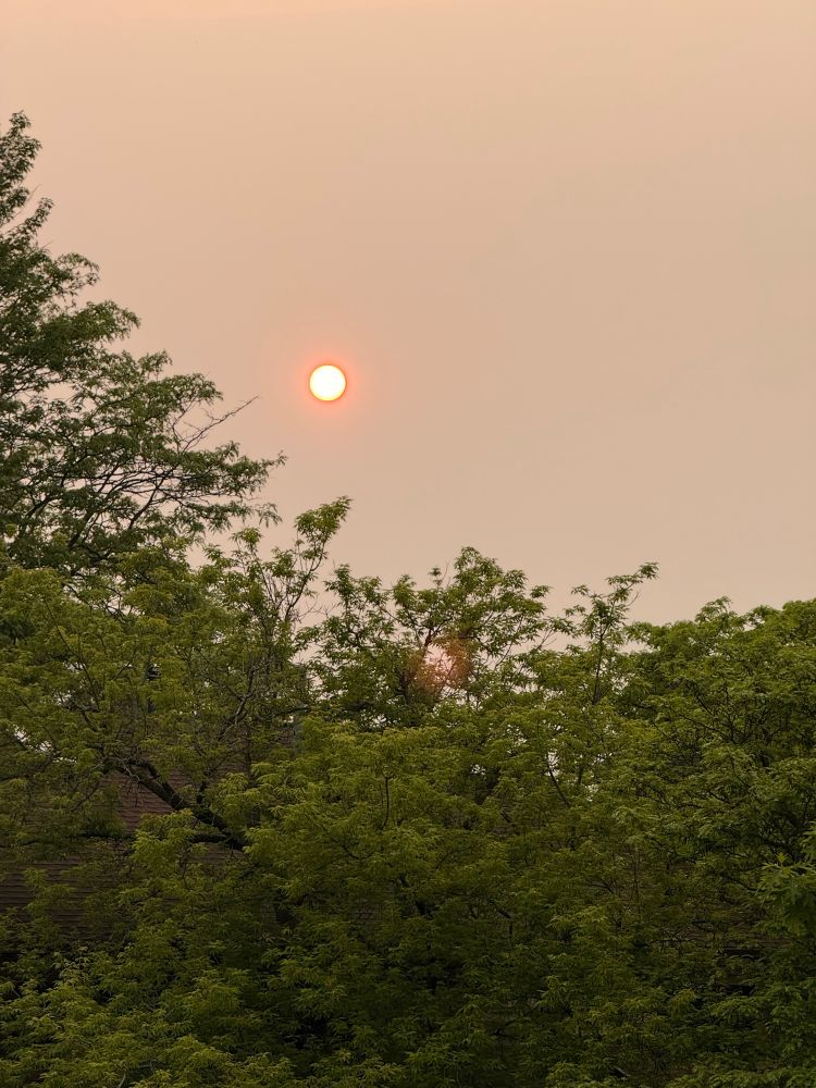 Hazy sky with a very orange sunset due to forest fires 