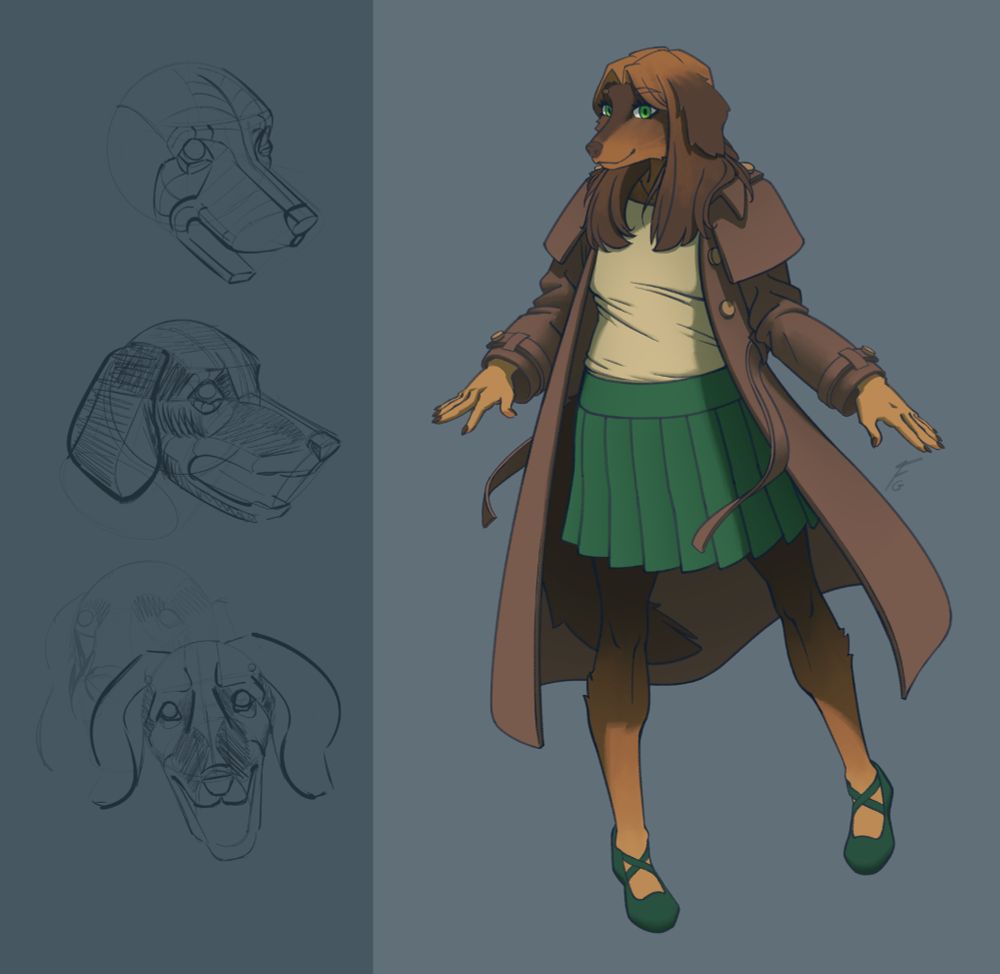 Character design, along with a few rough sketches I used to learn this breed's facial proportions and construction