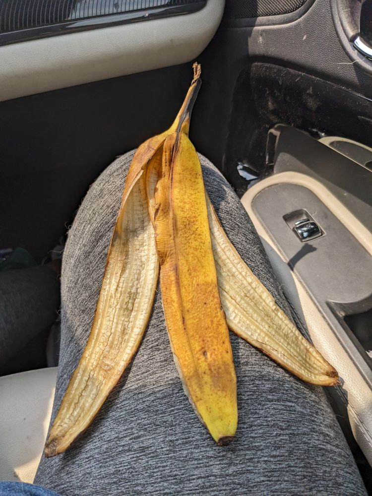 A banana peel, the natural enemy of personal conveyance.