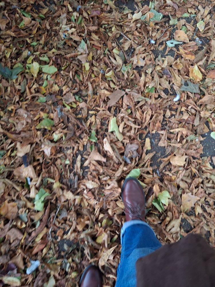 Crispy leaves being crunched by old woman in cherry Dms .  (The child in us never leaves) 