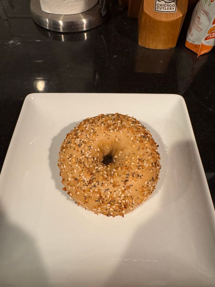 Homemade everything bagel
