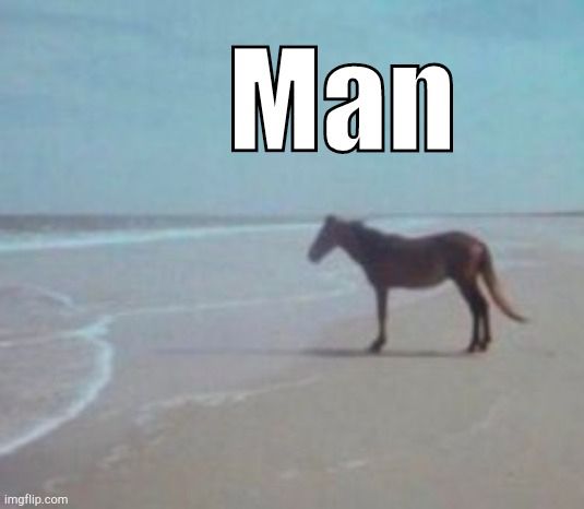 Low res picture of a horse on a beach with white text that says “man” above it 