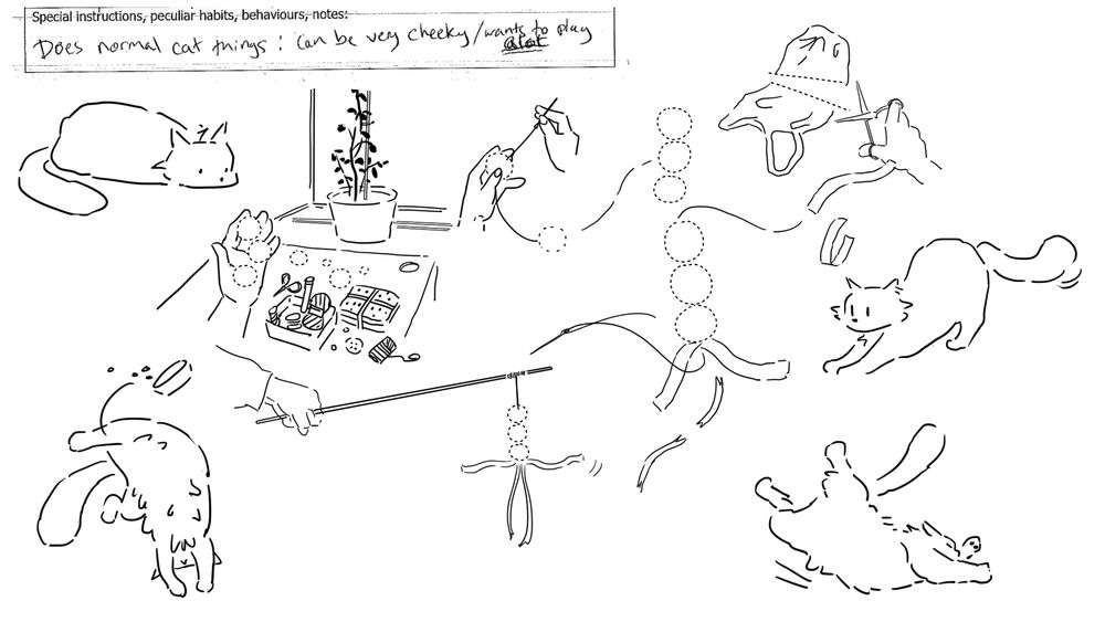 Illustration of a cat waiting for its toy to be made. text: Foster notes; Does normal cat things can be very cheeky/wants to play a lot. Shows cat waiting while pompoms, string, plastic strips, a wooden stake are assembled. Then goes nuts