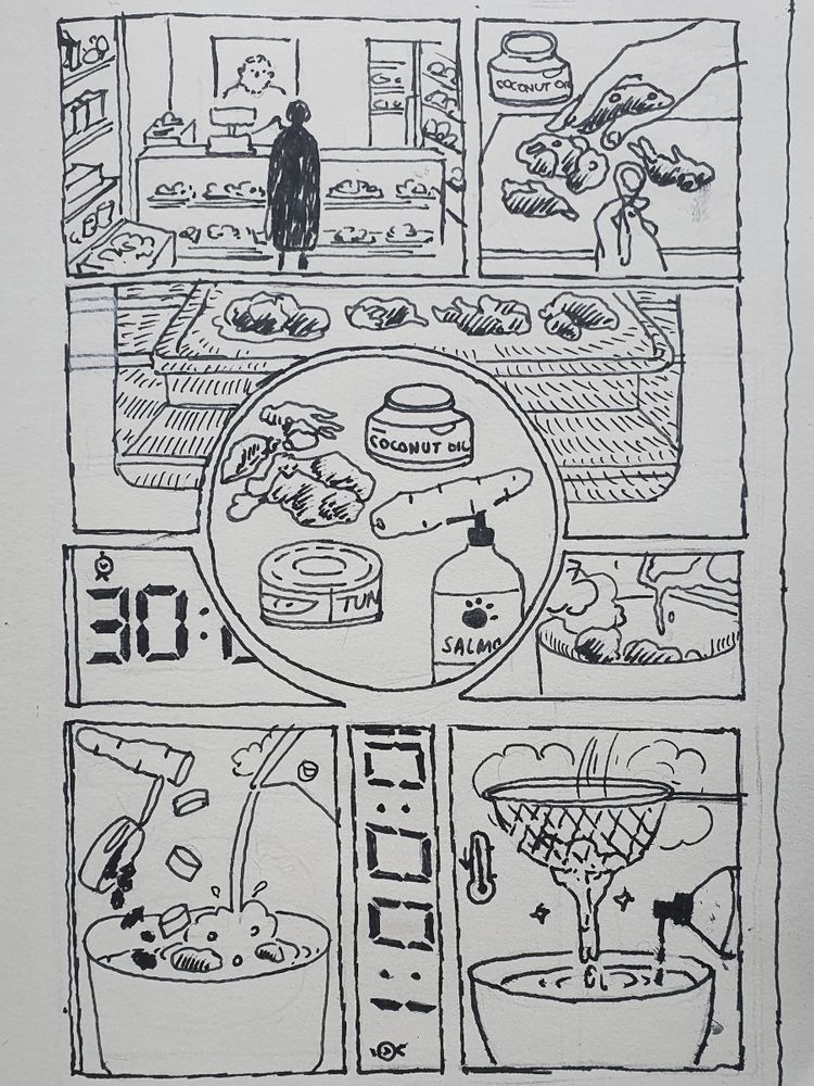 Panel comic shows ingredients in the centre- carrot, coconut oil, tuna can, salmon oil, chicken bits. Panel 1- butcher's, Panel 2- oiling the chicken, Panel 3,4- oven for 30 mins, Panel 5,6- pouring contents in a pan with hot water Panel 7- 1 hr, Panel 8- straining the contents when temp cools