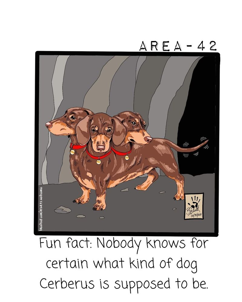 red and tan dachshund dog with three heads wearing red collar with tags on each neck.
he wiggles his tail standing in a cave.

The text reads
Fun Fact
Nobody knows what kind of dog Cerberus is supposed to be.