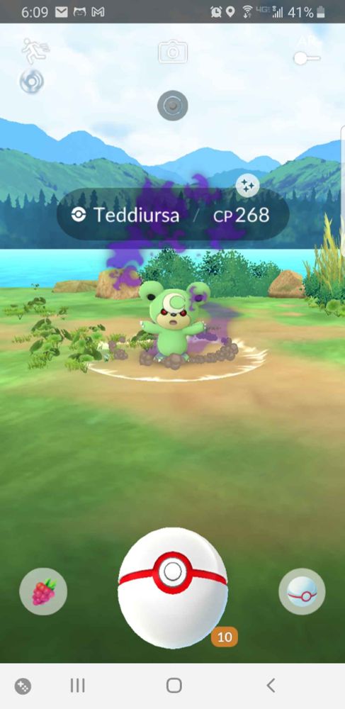 A Shiny Shadow Teddiursa catch screen
