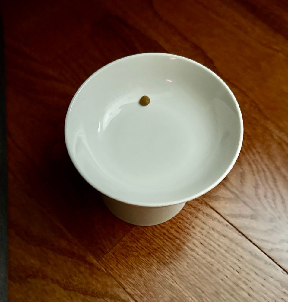 Missy's food bowl with just one piece of food left in it. She didn't eat much during the morning likely because of the storms last night. 