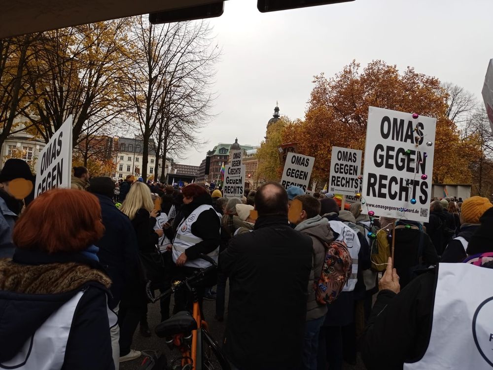 Eine Gruppe von Menschen, einige halten Schilder mit "OMAS GEGEN RECHTS" hoch