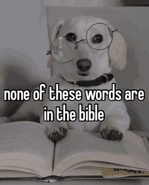 a dog sitting on a book with the superimposed text "none of these words are in the bible"