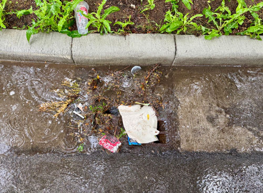 A storm drain clogged with trash and leaves and twigs and dirt