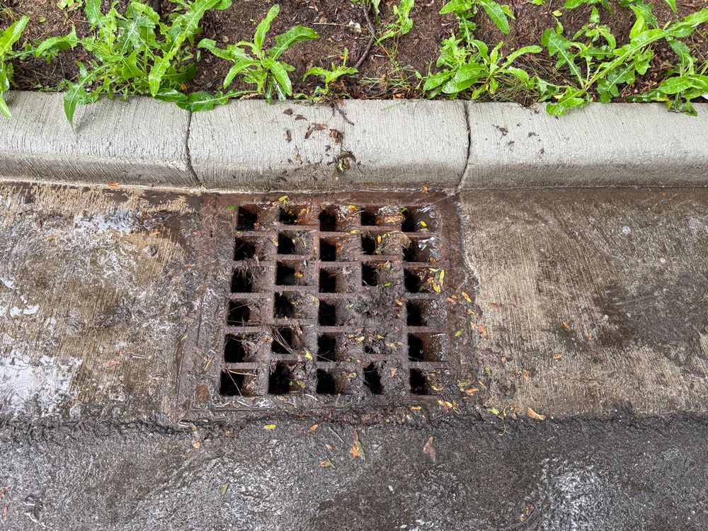 A storm drain mostly not clogged